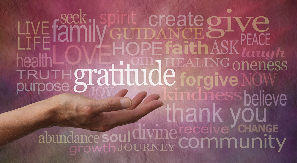 20 Quotes on Gratitude and Being Thankful #5MinMotivation - Lead Grow