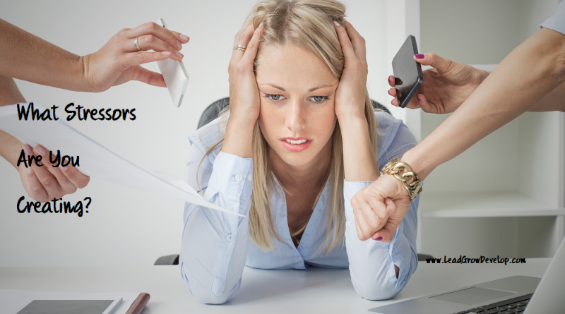 What Stressors Are You Creating? | Lead Grow Develop