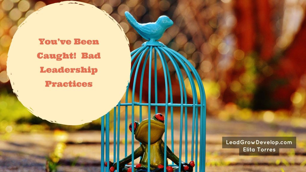 bad-leadership-practices