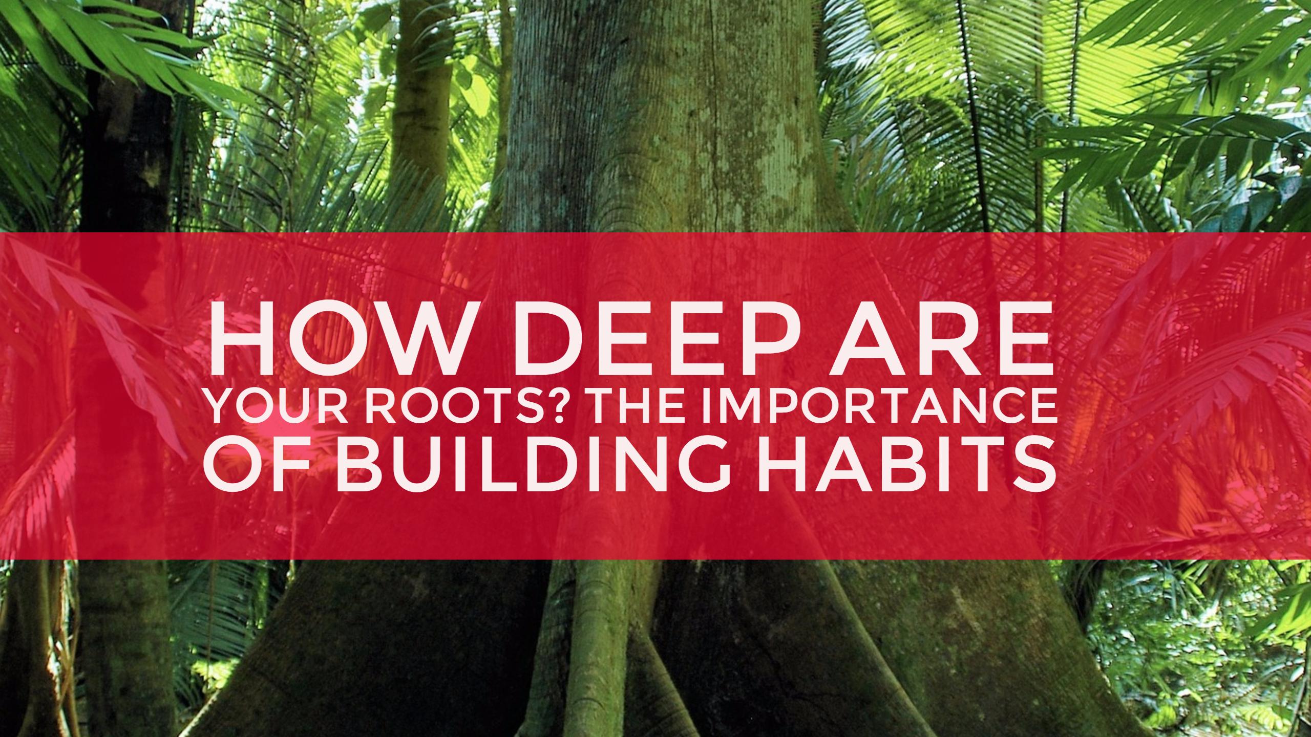 trees-building-habits