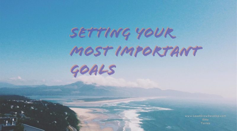 setting-your-most-important-goals-lead-grow-develop