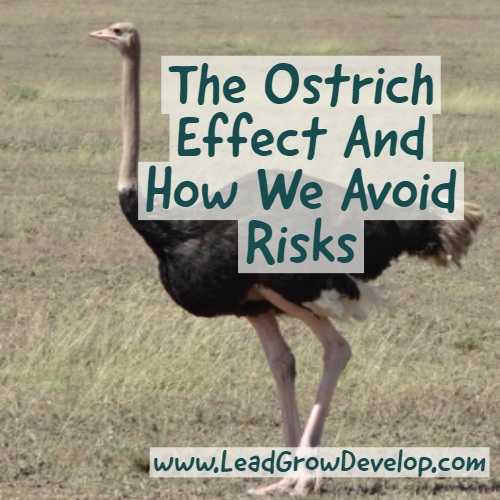 ostrich-effect