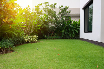 lawn-home-home lawn