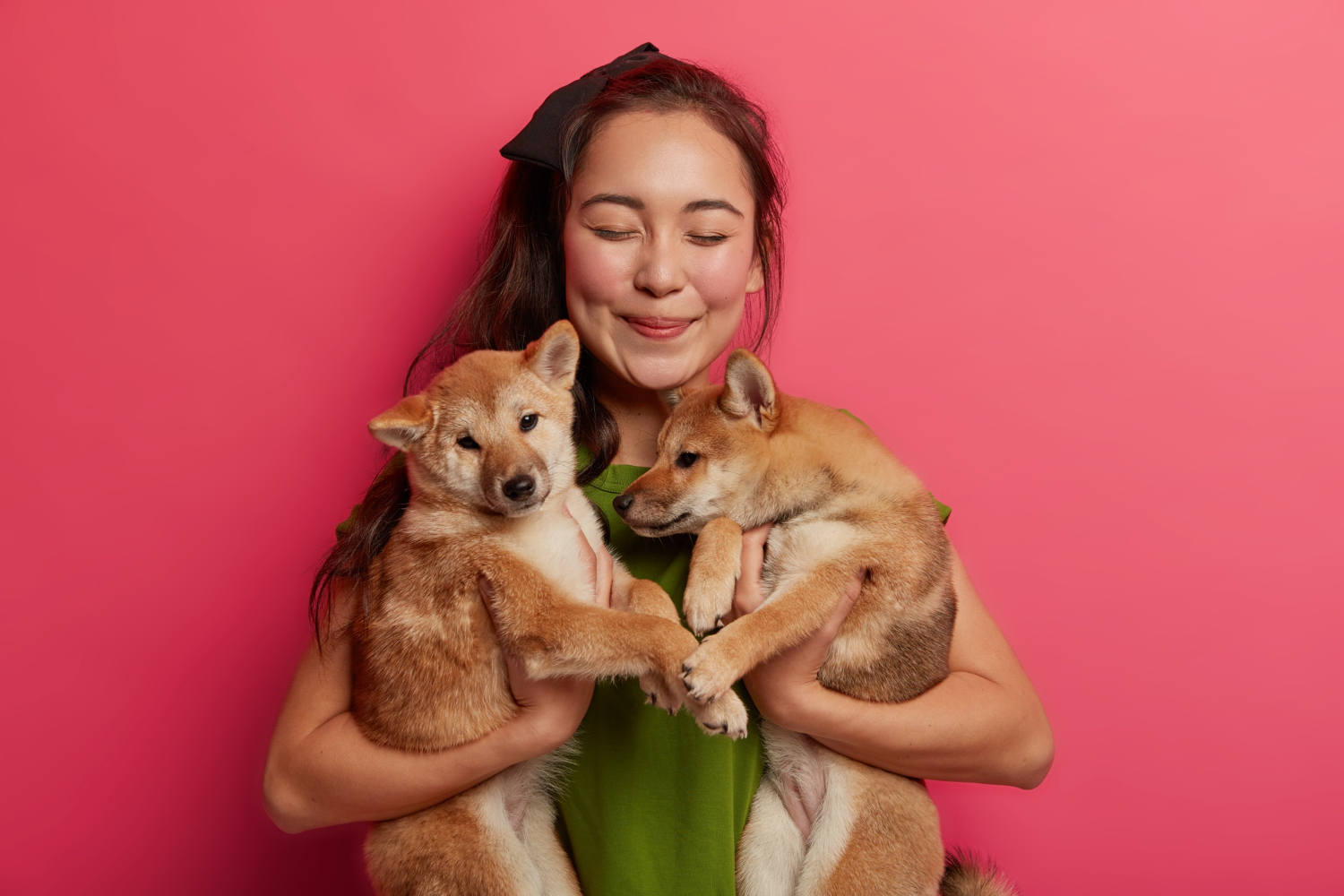 lucky-eastern-woman-found-two-pedigree-puppies-street-finds-host-shiba-inu-dogs-being-pet-lover-stands-glad-with-animals-against-pink-background