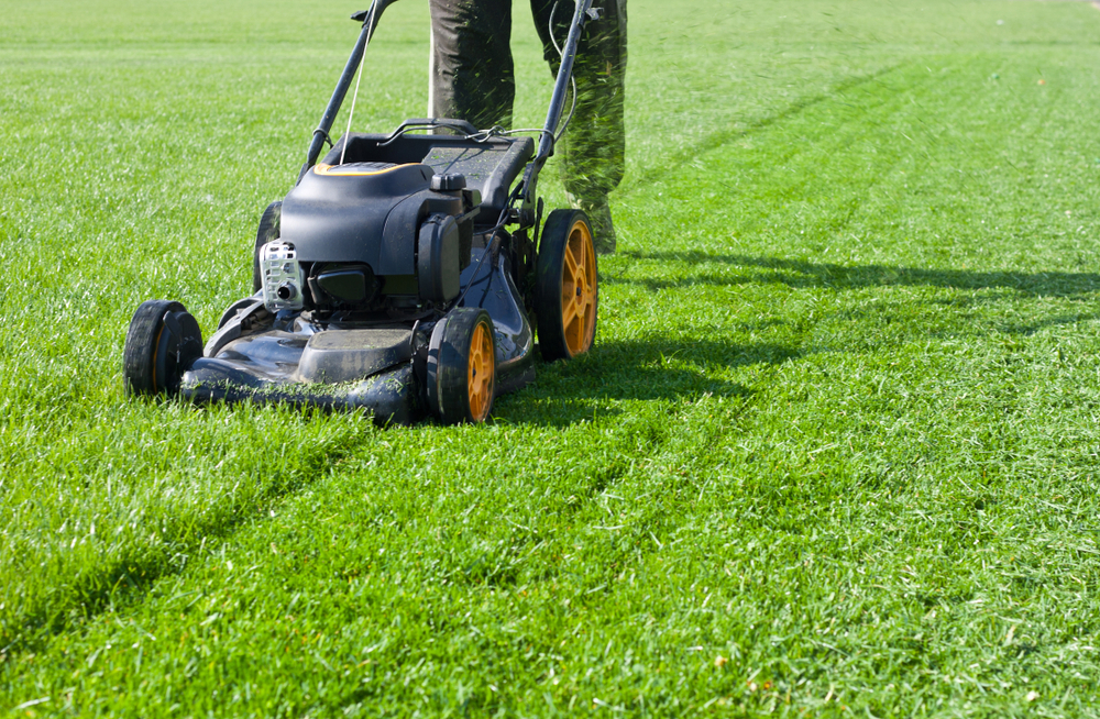 Worker,Guy,Shake,Pour,Grass,From,Lawn,Mower,Bag,Into