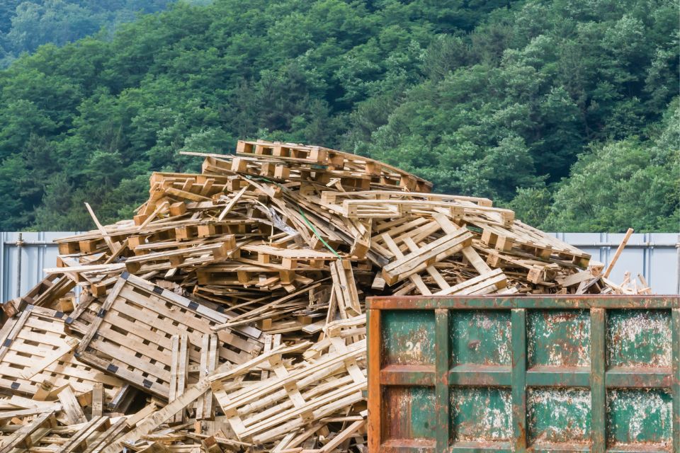 How Are Wood Pallets Environmentally Friendly?