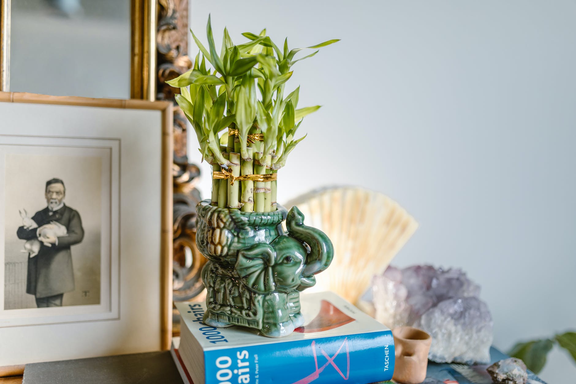 an elephant figurine vase with plants