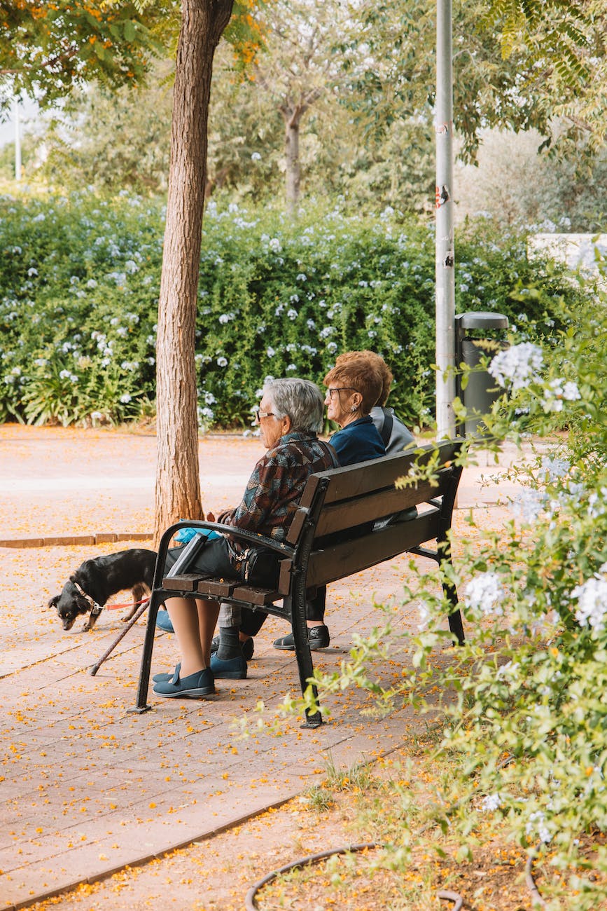 elderly ladies sitting on a bench in the park