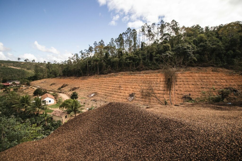 land clearing above the mountain