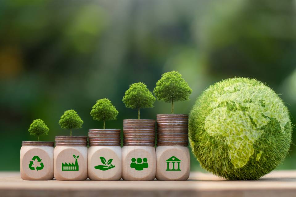 Some dice with sustainability icons on them and quarters stacked on top. The quarters have trees on them with a grass globe sitting next to them.