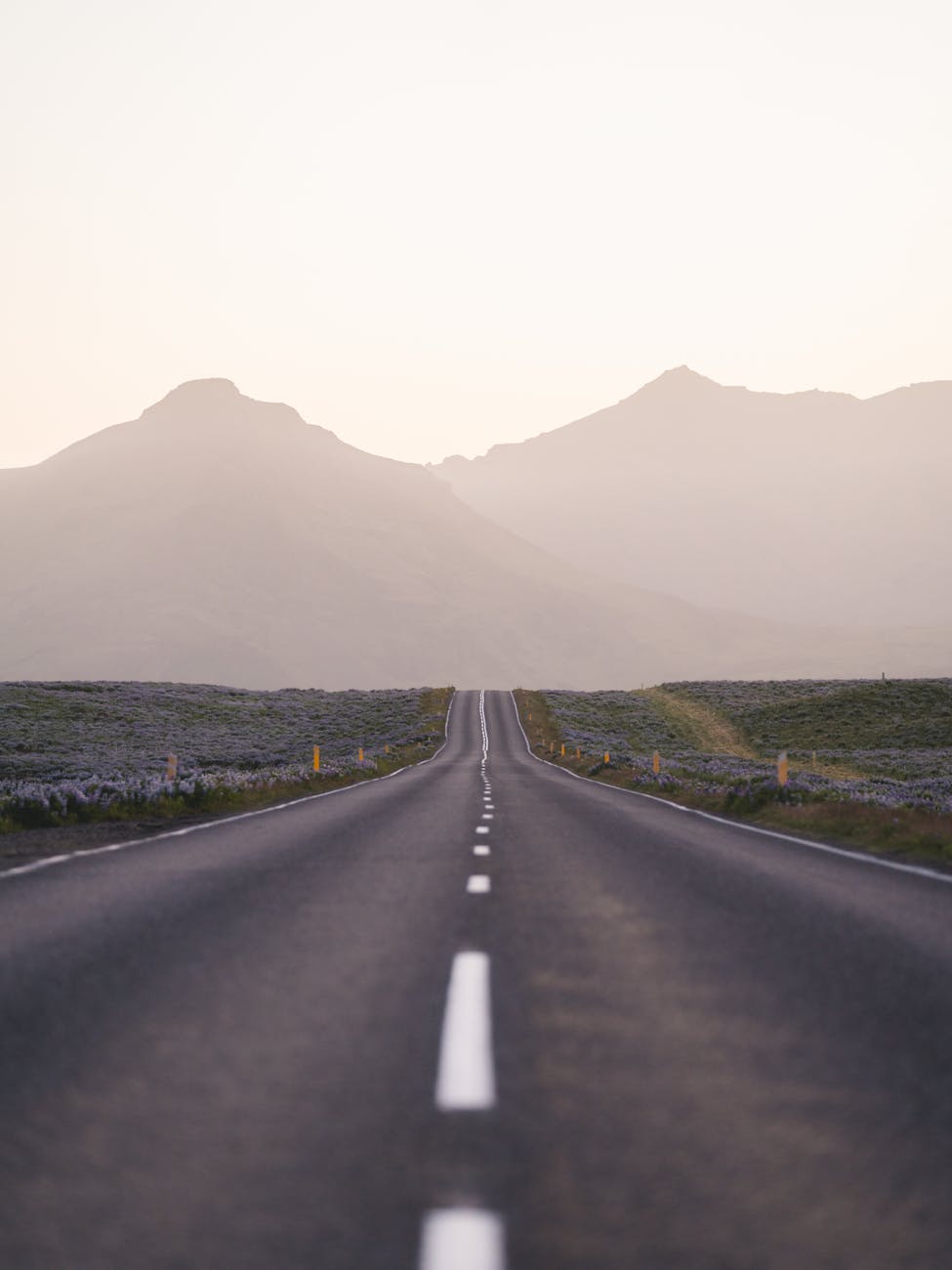 shallow focus photo of road