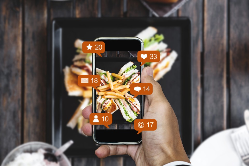 A person takes a photo of a dish using their phone. Text boxes showing the photo's likes and shares on social media pop out of the phone.