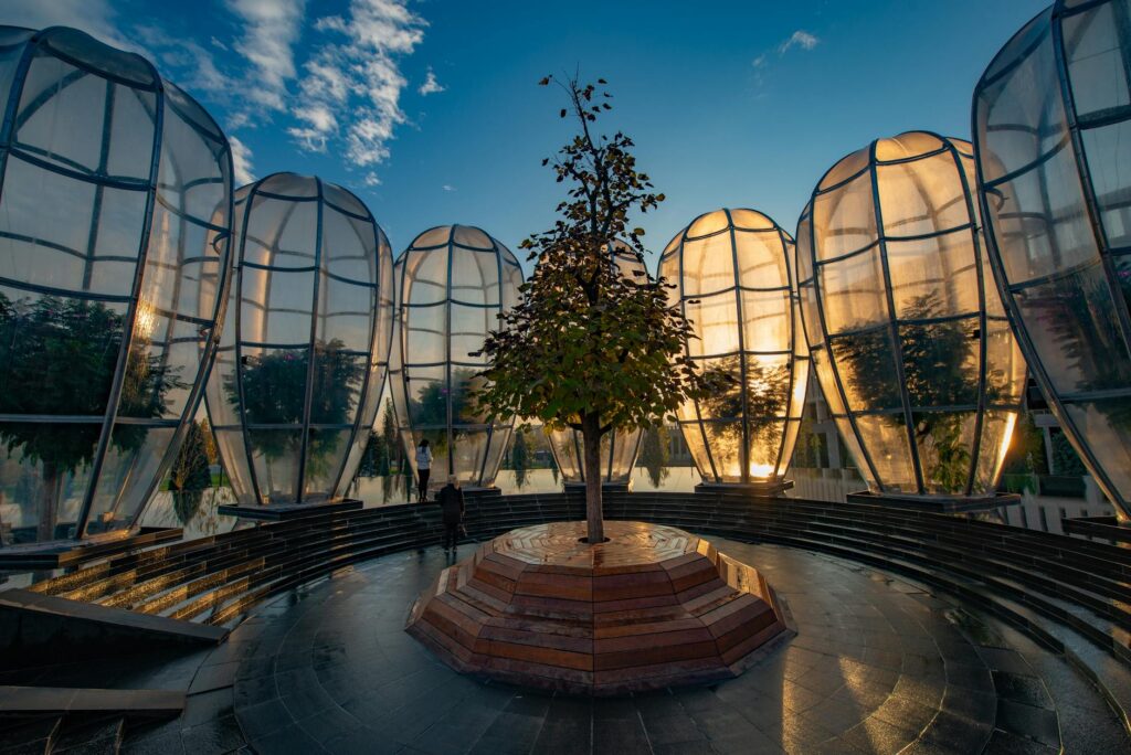 trees contained in glass in krasnodar galitsky park russia