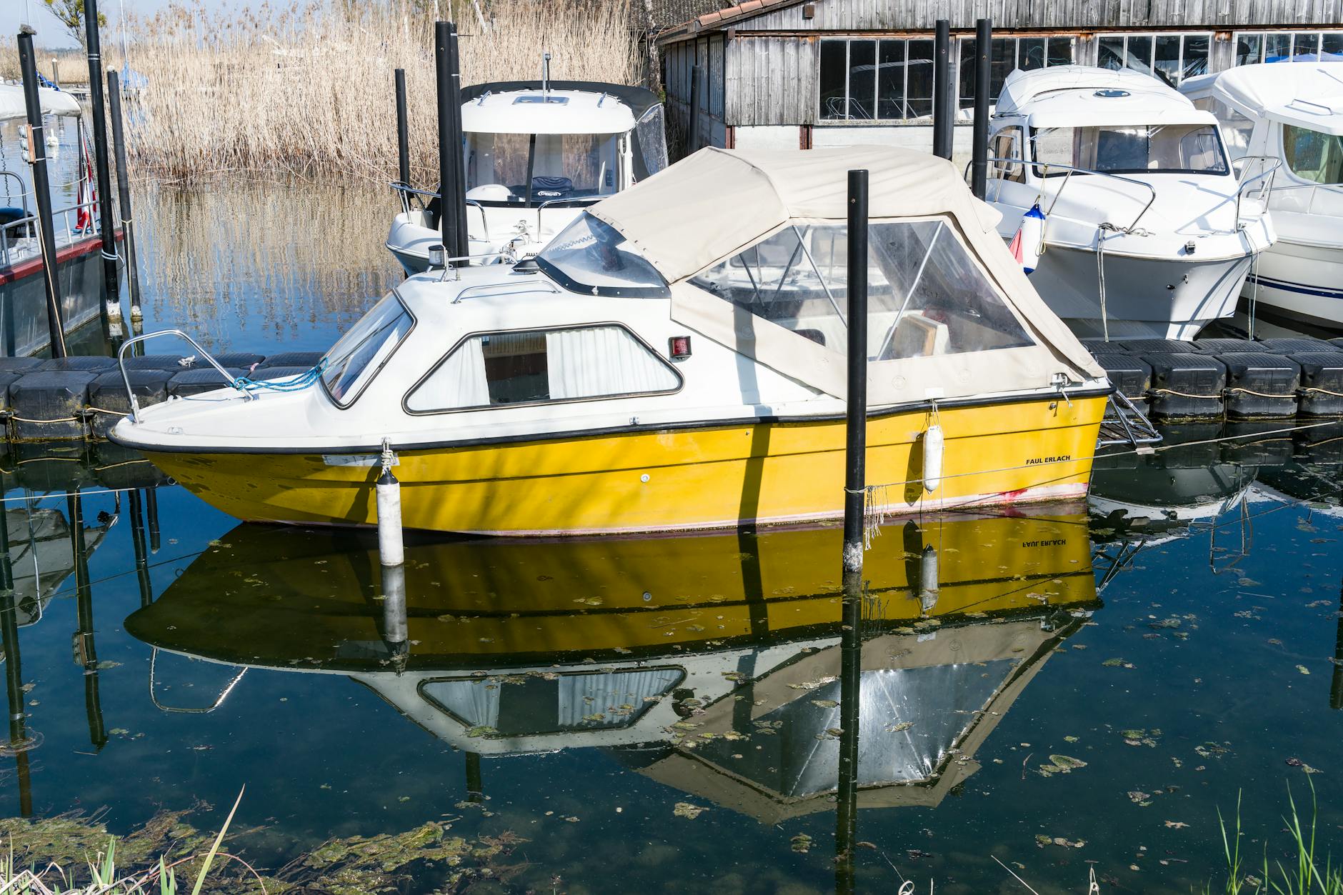 yellow motorboat docked at marina in calm waters