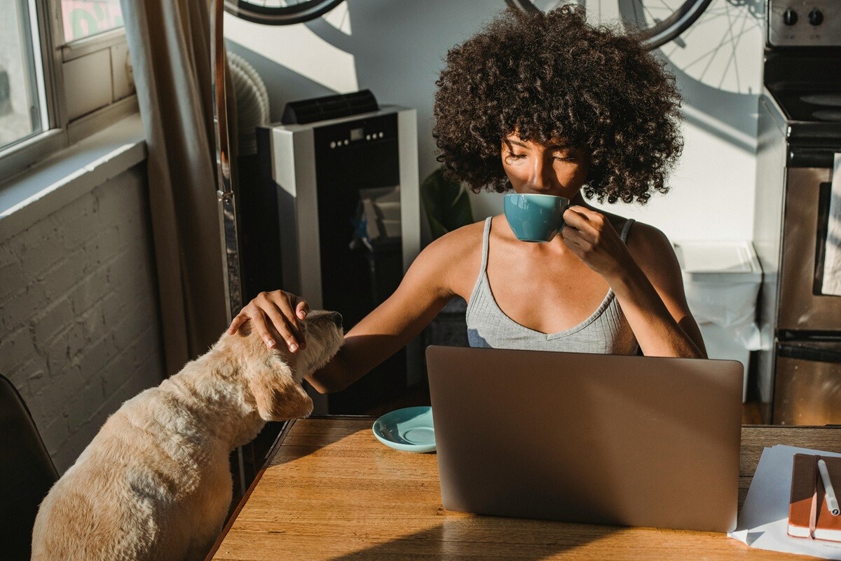 Dog Owner's Juggle Finding Harmony Between Your Career and Canine