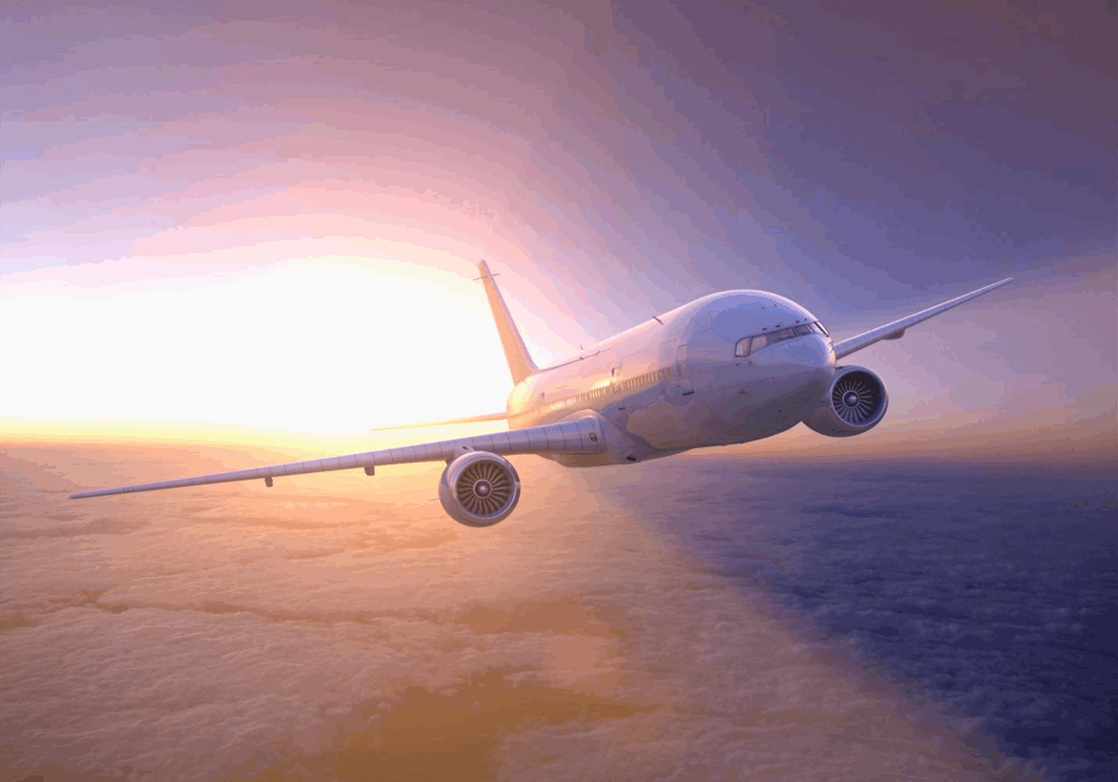 commercial airline
