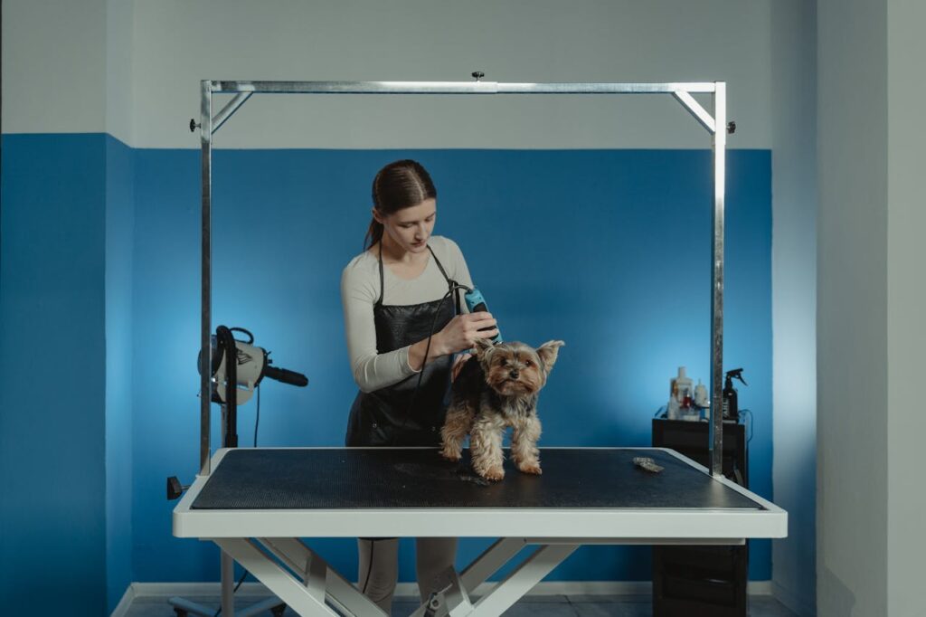 The Benefits of Professional Grooming for Dogs