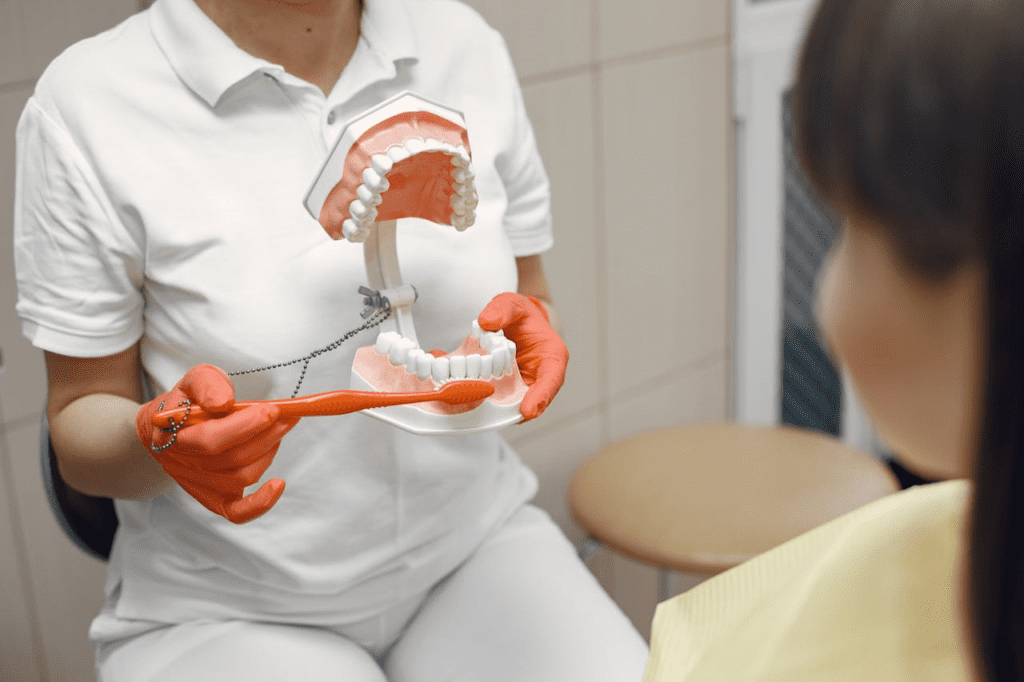 A Person Holding a Dental Model
