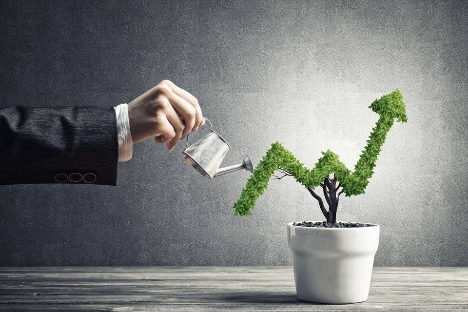 A person wearing a suit pours water onto a leafy, a potted plant. The plant is in a zigzag arrow shape, pointing upward.