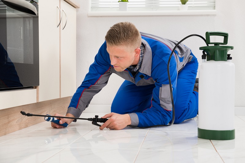 Pest Inspection 14 - Lead Grow Develop - Business, Technology, Personal Development Pest Inspection 14