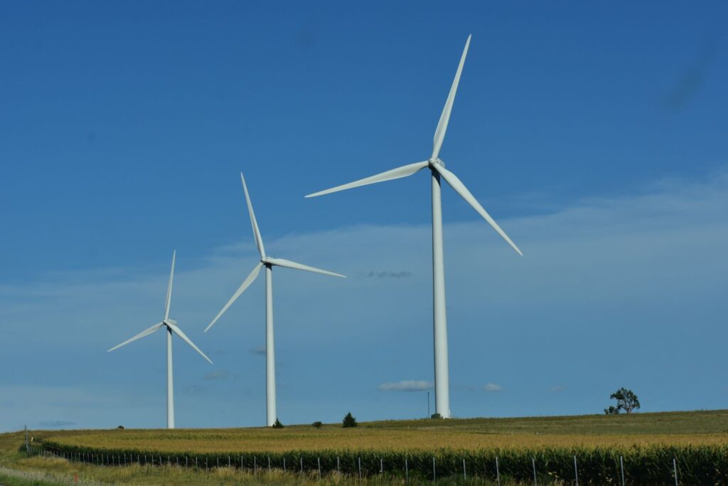 Tall white wind turbines rise from a grassy field under a clear blue sky, forming a wind farm.