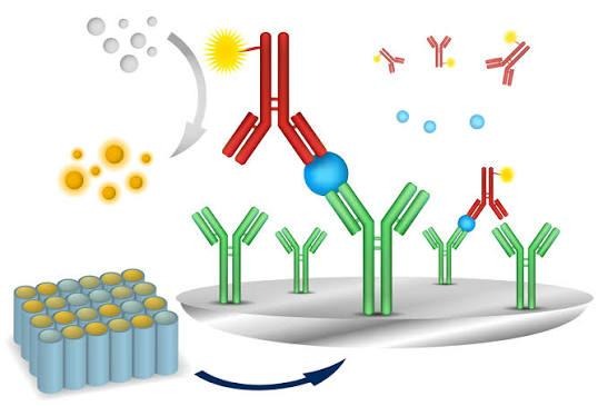 image - Lead Grow Develop - Business, Technology, Personal Development Elisa Assay Method