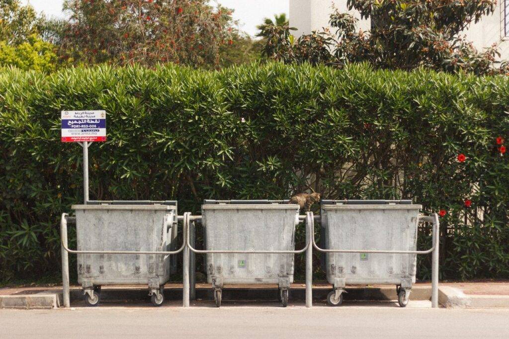 Urban scene with garbage bins, a cat, and greenery in the background