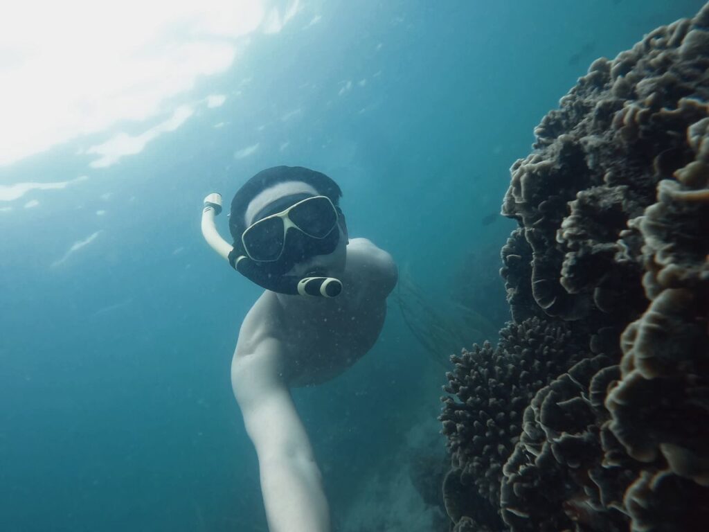 5 Factors to Consider When Choosing a Coastal Excursion 2 A snorkeler explores vibrant coral reefs in clear blue waters, capturing underwater beauty.